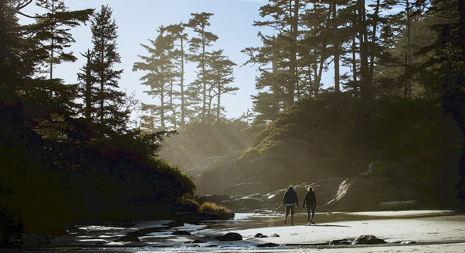Two people walking on a beach flanked by tall trees, with sunlight filtering through the foliage