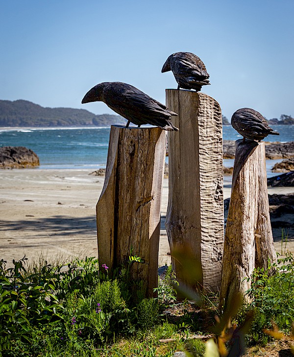 Three carved raven sculptures installed on driftwood posts overlooking Chesterman Beach