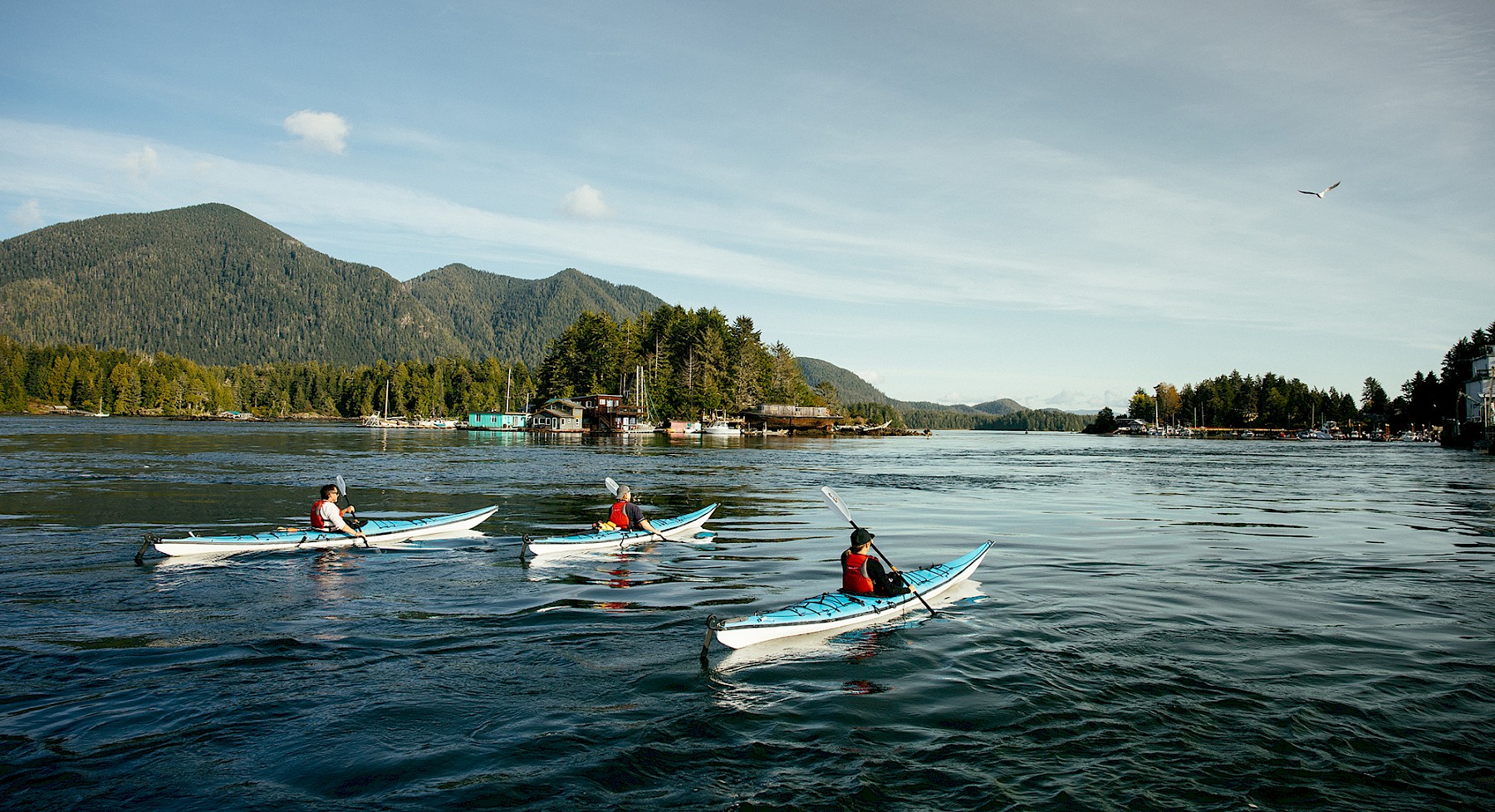 Three people kayaking on calm inlet waters with Strawberry Island and a tree covered Meares Island in the background. A seagull flys overhead.