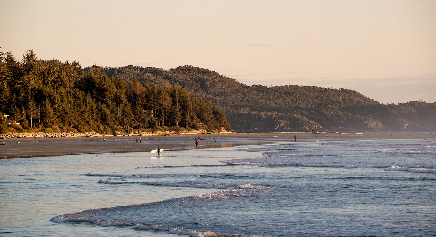Surfers and beachcombers on Chesterman beach with lapping waves in the foreground with a driftwood lined beach and forest in the background