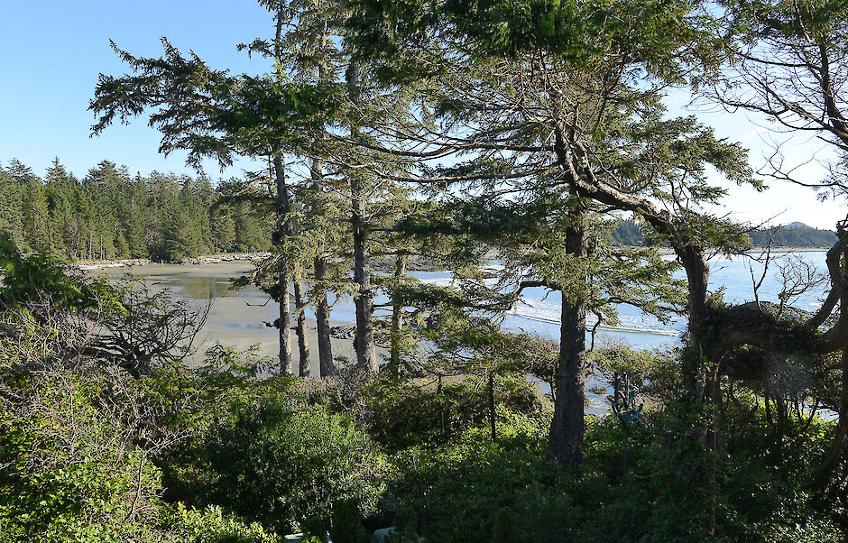 East Facing View of Chesterman Beach