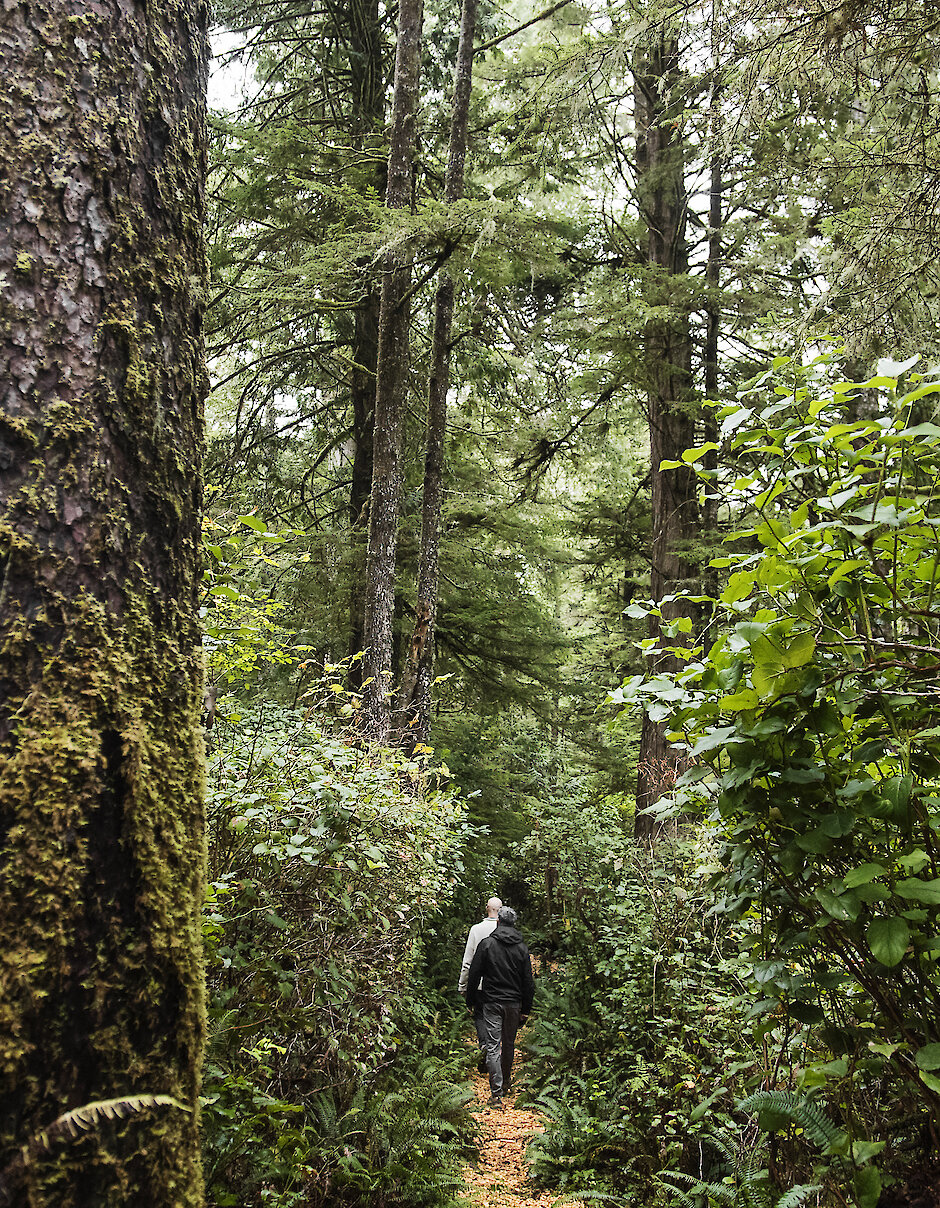 Rainforest Trail Loop