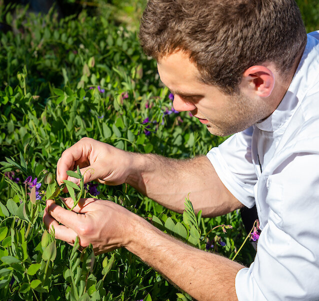 Chef Selecting items for Foraging Menu